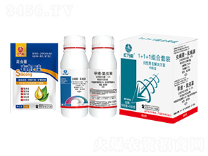 �������x1+1+1�M�����b-�t�f(w��n)��-�l(xi��ng)�弾�L(f��ng)-���˹����r(n��ng)��