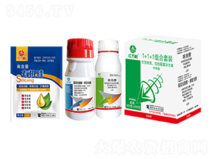 1+1+1�M�ϣ��������x�׷�ʭ��Q������-�t�f(w��n)��-�l(xi��ng)�弾�L(f��ng)-���˹����r(n��ng)��