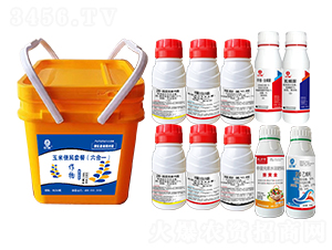 ���ױ���M�����b������һ��-�l(xi��ng)�弾�L(f��ng)