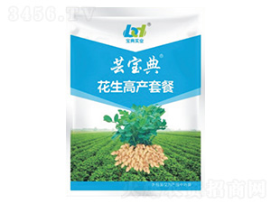 ��������ˎ-�|����-���䌍�I(y��) 