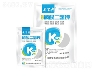 ��������-�|����-���䌍(sh��)�I(y��)