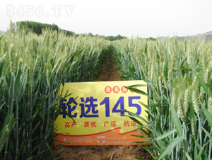 ݆�x145-С���N��-ɽ�r(n��ng)��N��