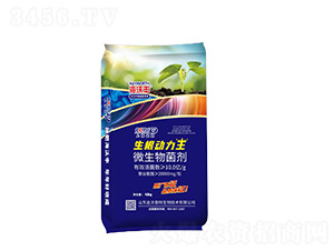 ΢�������-������(d��ng)����-�����S-�����_(d��)����