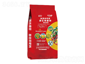 ΢�������-������}�V-�����S-�����_(d��)����