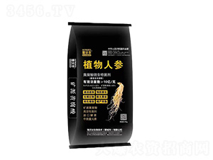 �S����΢�������-ֲ���˅�-�����S-�����_(d��)����