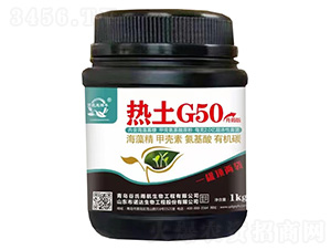 ����G50������-�����꺽