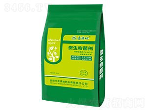 ΢�������-ϲ�M��