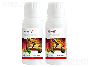 12%�x����.ʭ����Ҹ���-�a����-���r(n��ng)��