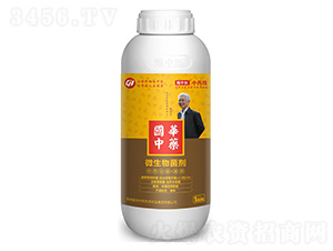 �����t(y��)-��ˎ�������Ѹ��B(y��ng)���o(h��)��������