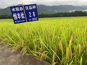 ���S��(y��u)28���������㵾��-ˮ���N��-���r�Ƽ�