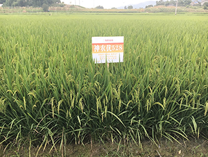 ���r5��(y��u)28���߳����ʃ�(y��u)�|����-ˮ���N��-���r�Ƽ�