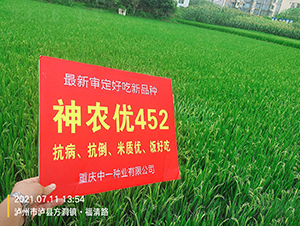 ���r��(y��u)452-ˮ���N��-���r�Ƽ�