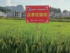 Ʒ�マ(y��u)�y��-ˮ���N��-���r�Ƽ�