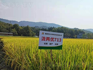 �{�Ƀ�(y��u)713-ˮ���N��-���r�Ƽ�