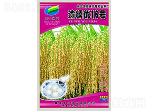 ��Ŵ��(y��u)16̖(h��o)-ˮ���N��-���r(n��ng)�Ƽ�