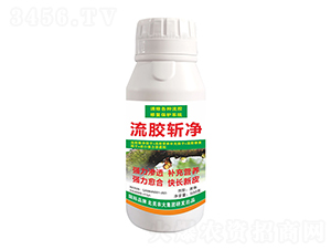 ���z�؃�-�����r��