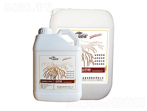 ΢�������-��۸�-����r(n��ng)�ʘI(y��)