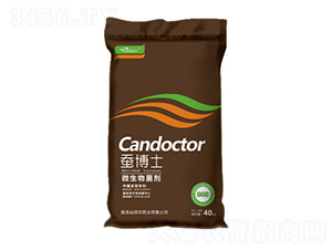 ΢�������-�Q��ʿ-����r(n��ng)�ʘI(y��)