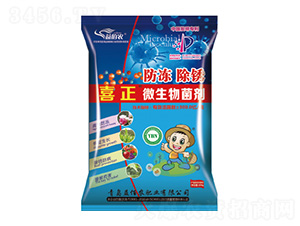 ΢�������-�������P-����r(n��ng)�ʘI(y��)