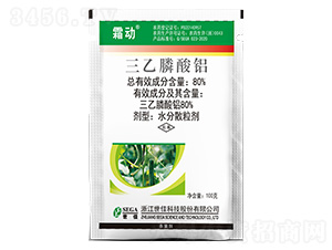 80%��������X-˪?ji��ng)?����