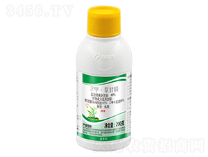 49%2�ס��ݸ��-�����^(gu��)ɽ�L(f��ng)-����