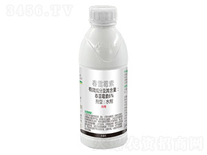 6%����ù��-����