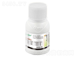 40%���ѡ�����-���Ѱ���-����