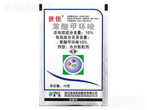 10%���Ѽ׭h(hu��n)��-���� 