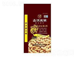 ��(f��)�Ϸ���20-10-10-����������-�ζ�ͥ���ʘI(y��)