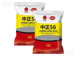 ����56-���׷N��-�����rˇ