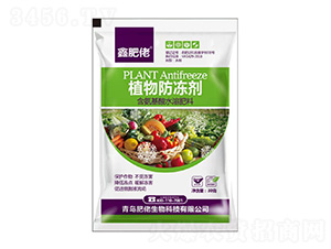 ֲ�������-�η���-�������� 