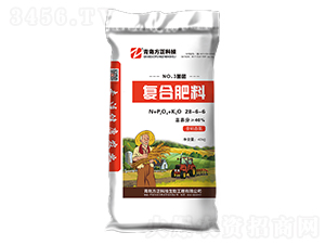 �D���ͺϷ���28-6-6-���u�������