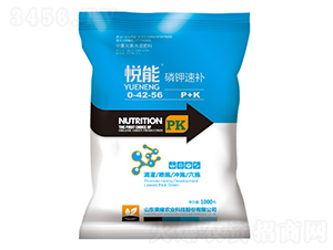 ����������a(b��)-�sҫ�r(n��ng)�I(y��)