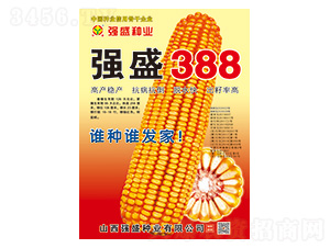 ��ʢ388-���׷N��-��ʢ�N�I(y��)