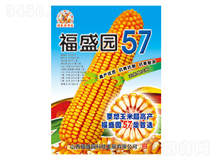 ��ʢ�@57-���׷N��-��ʢ�N�I(y��)