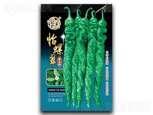 ���ݴ�-�����N��-�����r(n��ng)�I(y��)