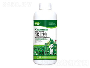 ������-����-�sҫ�r(n��ng)�I(y��)