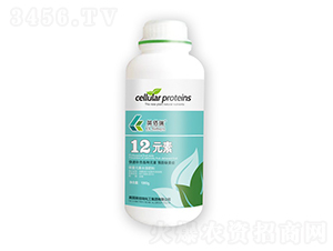 12Ԫ�أ�ƿ��-Ӣ����-�sҫ�r(n��ng)�I(y��)