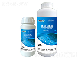 ���w��-�A��(chu��ng)