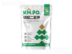 ��������-�����S-�ɿ����ʘI(y��)