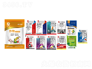 ���b���ױ����ײͣ�ʮ��һ��-�l(xi��ng)�弾�L(f��ng)