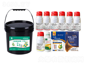 С�������ײͣ�ʮ��һ��-�l(xi��ng)�弾�L(f��ng)