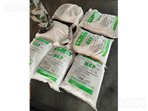 �������⛴��ӹ���3��