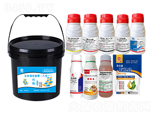 ���׌�(zhu��n)�ñ���M�����b���˺�һ��-�l(xi��ng)�弾�L(f��ng)