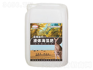 Һ�w�����-���-��֮��