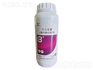 ʮ��Ԫ��-����