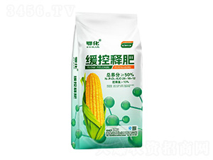 ����ጷ�28-10-12-����-���л�����