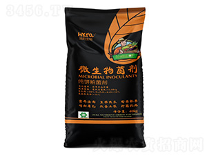 ΢�������-�������