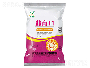 ����11-���׷N��-�����N�I(y��)