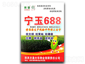 ����688-���׷N��-ꃉ����A